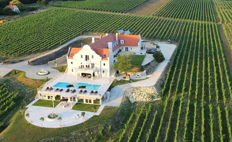 Vineyard for sale on the north part of Balaton
