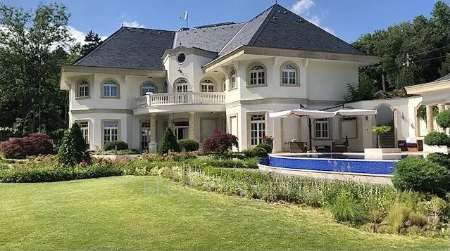 Luxury villa in Buda