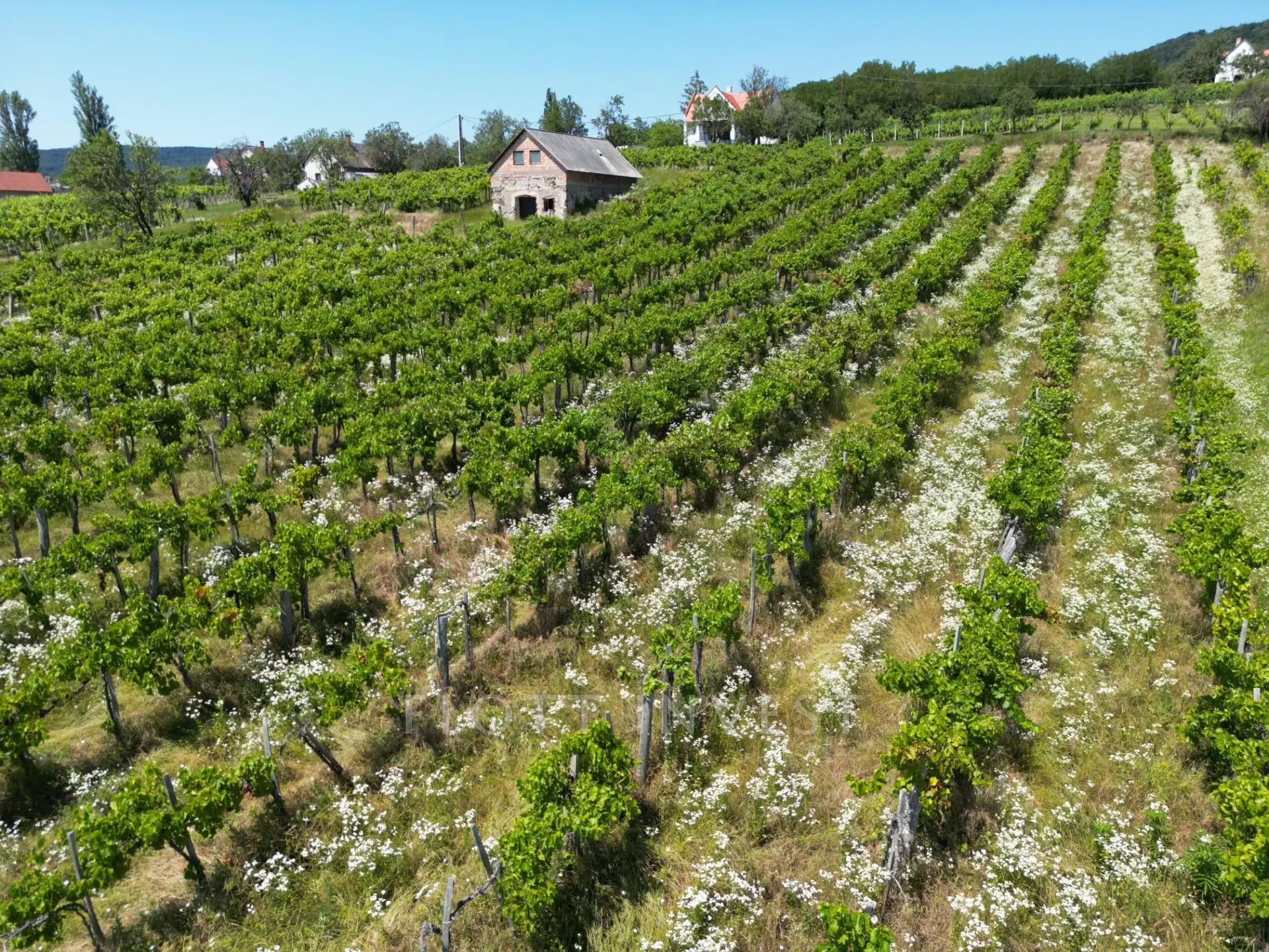 Plot for sale with building permit in the Káli Basin