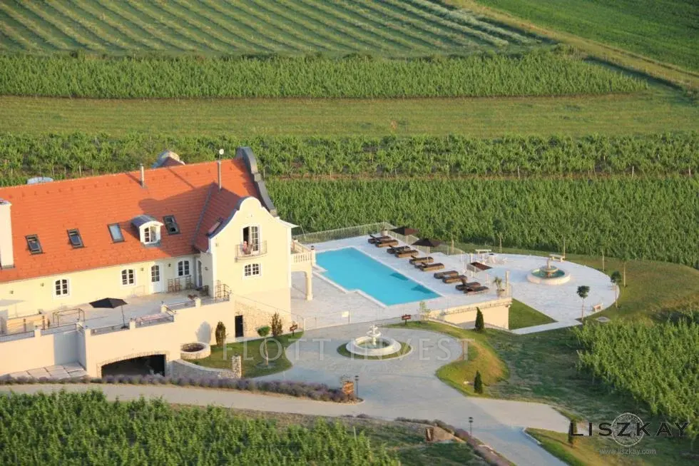 Eladó borbirtok a Balaton északi partján