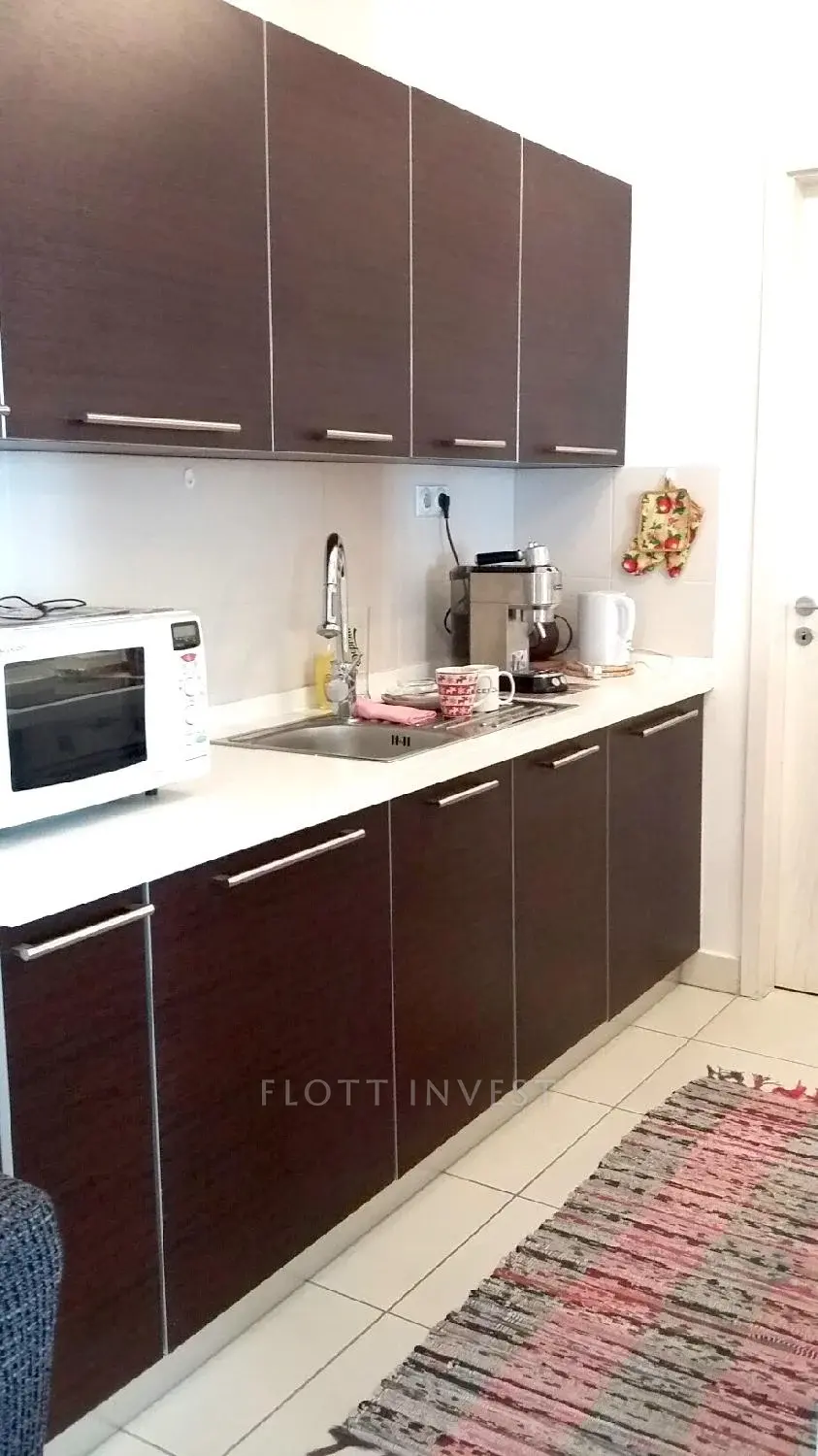 Renovated apartment in the city center