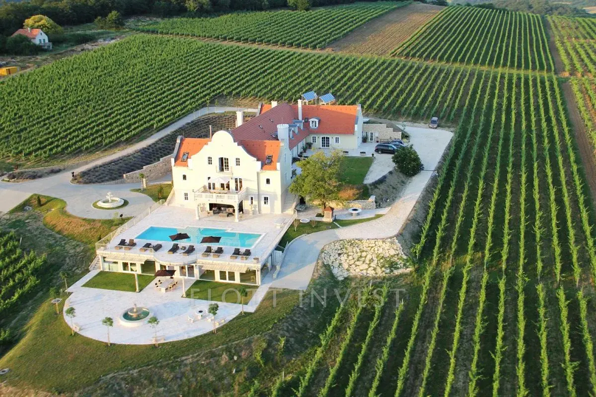 Eladó borbirtok a Balaton északi partján