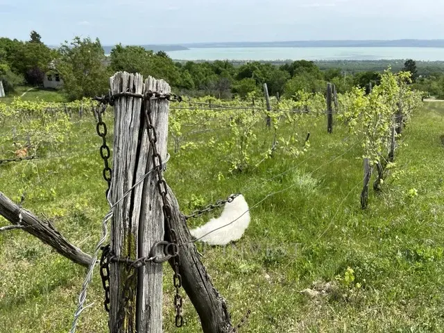 Magical estate with view to Tihany