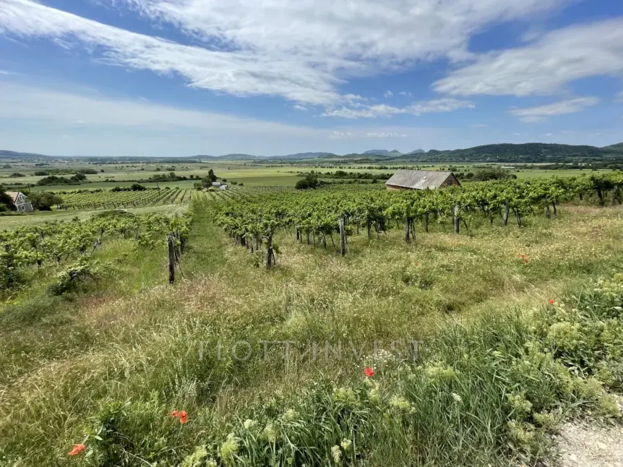 Plot for sale with building permit in the Káli Basin