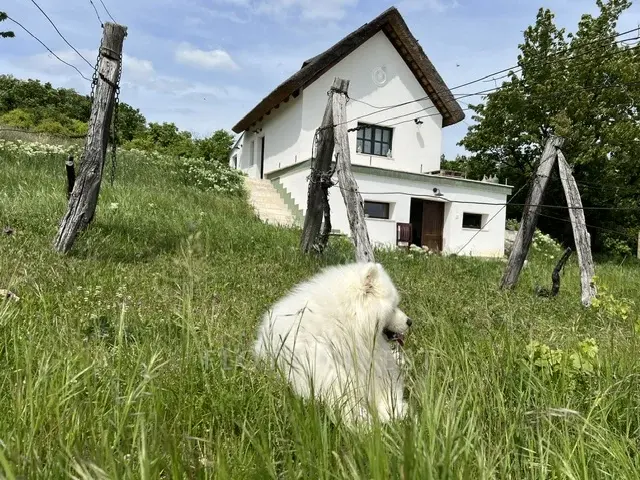 Magical estate with view to Tihany