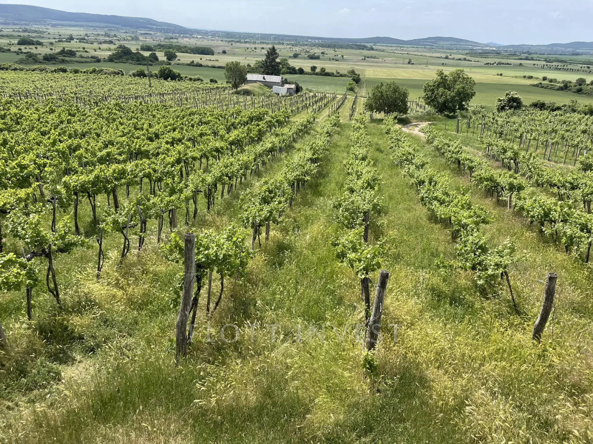 Plot for sale with building permit in the Káli Basin