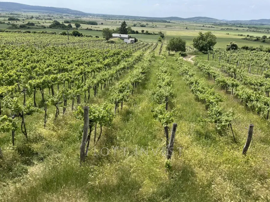 Plot for sale with building permit in the Káli Basin