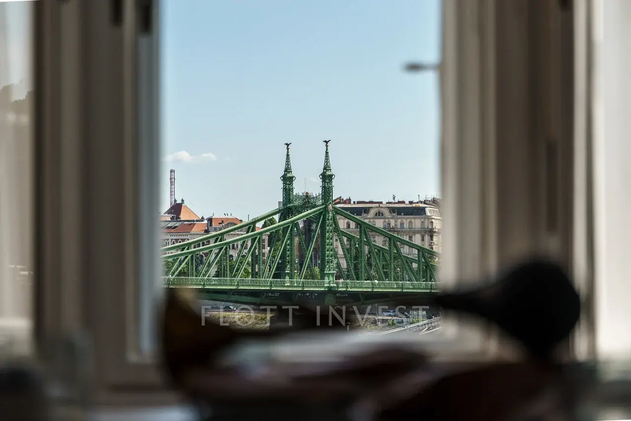 Wonderful panoramic view of the Danube